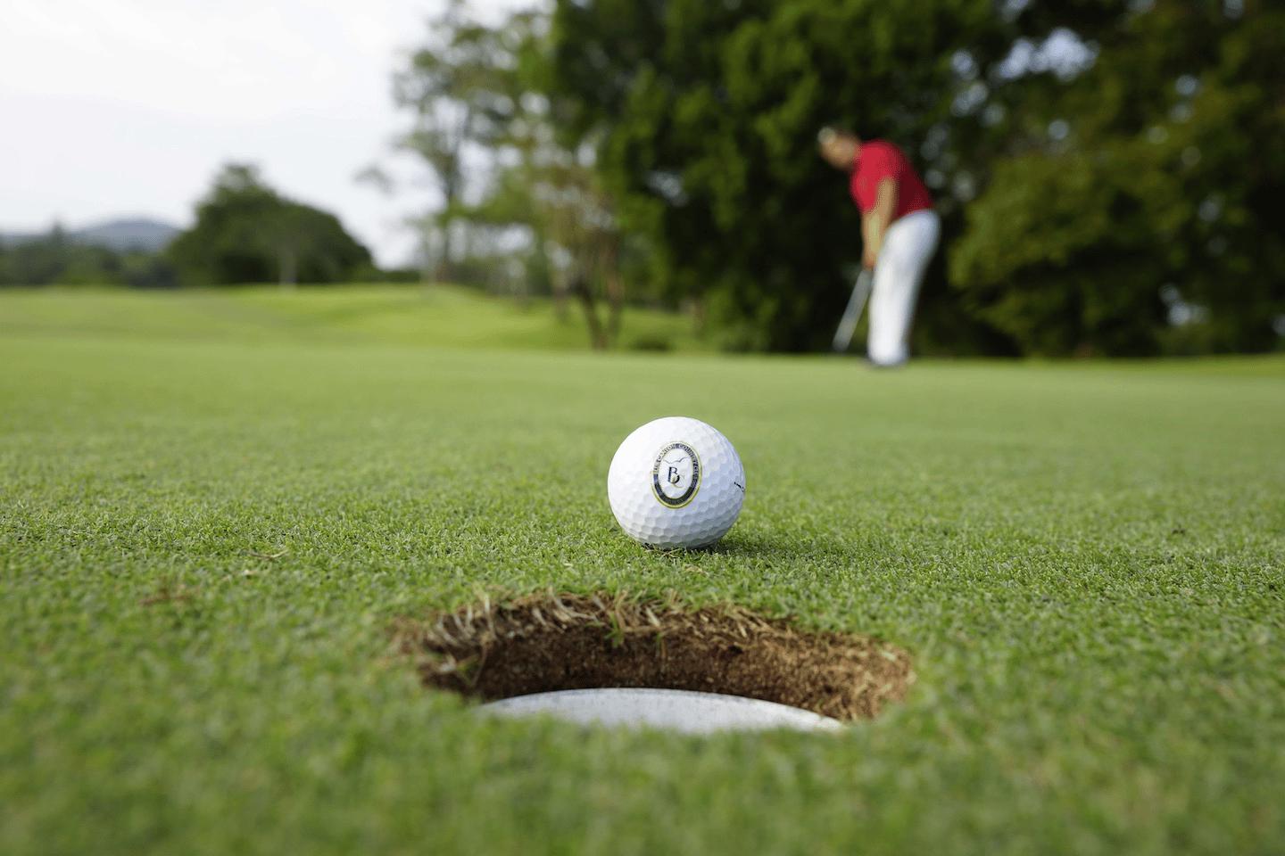 タイゴルフの魅力イメージ